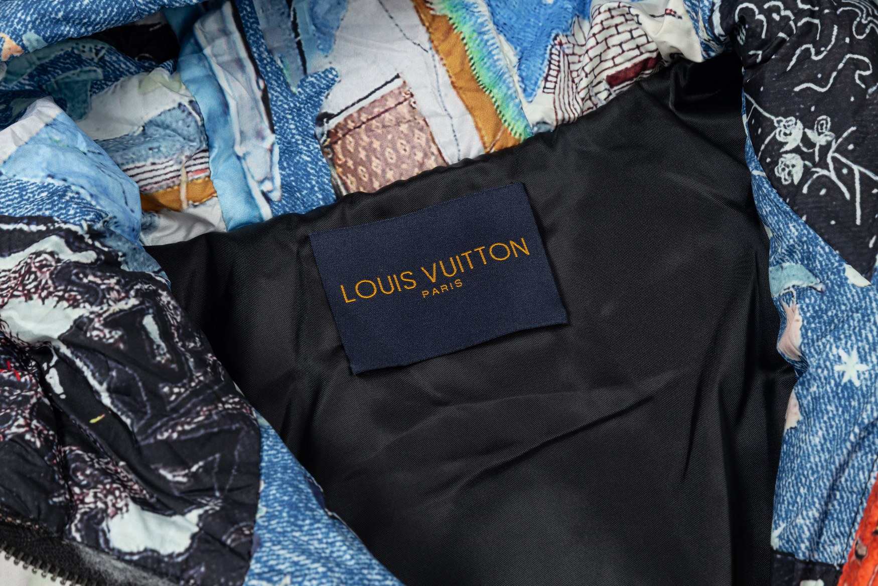 Louis Vuitton Down Jackets